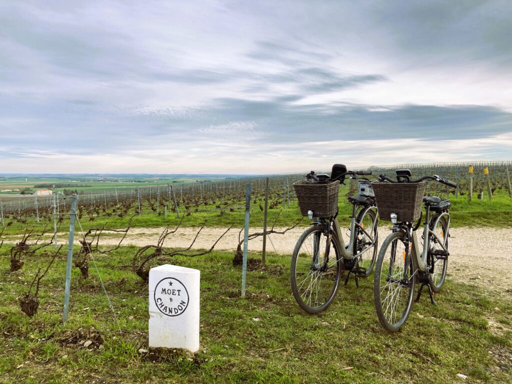 deux vélos électriques dans les vignobles de Champagne devant des parcelles de vignes Moët & Chandon